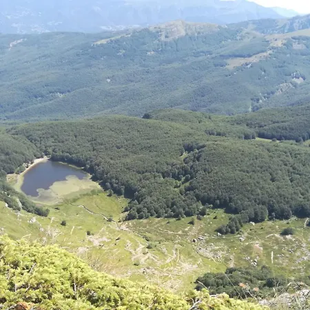 Le Antiche Orme *