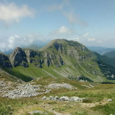 Oda ve Kahvaltı Le Antiche Orme Pievepelago