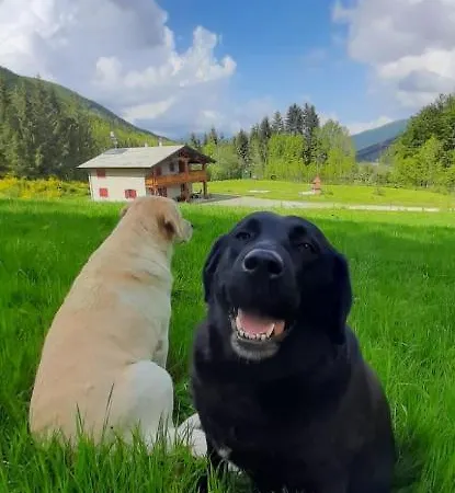 Oda ve Kahvaltı Le Antiche Orme Pievepelago