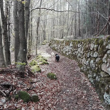 Le Antiche Orme Oda ve Kahvaltı