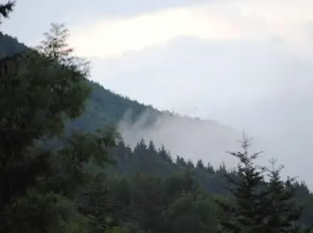 Oda ve Kahvaltı Le Antiche Orme