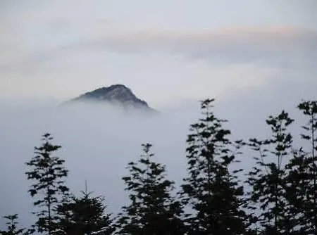 Le Antiche Orme * Pievepelago