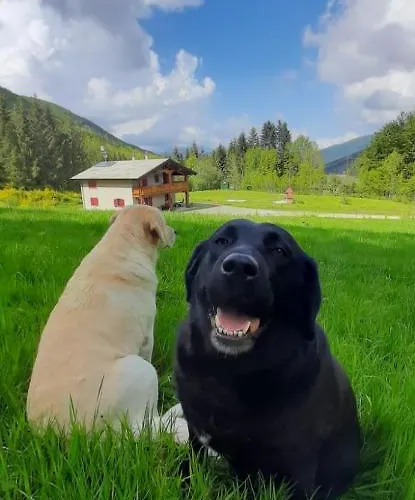 Panzió Le Antiche Orme Pievepelago