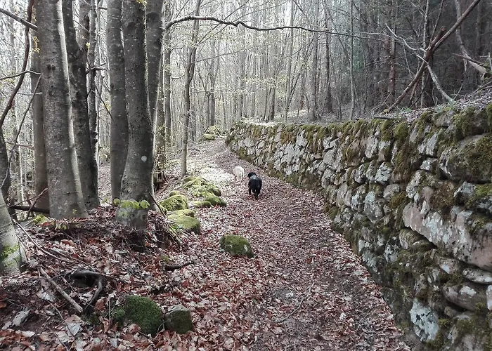 Le Antiche Orme Panzió