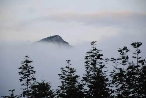 Le Antiche Orme * Pievepelago